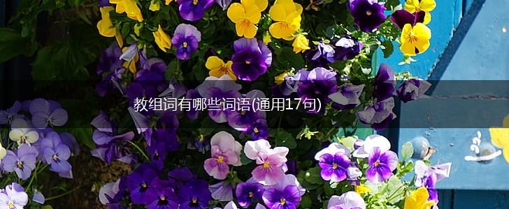 教组词有哪些词语(通用17句),第1张