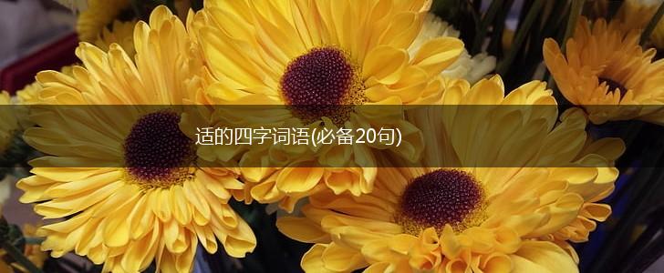 适的四字词语(必备20句),第1张