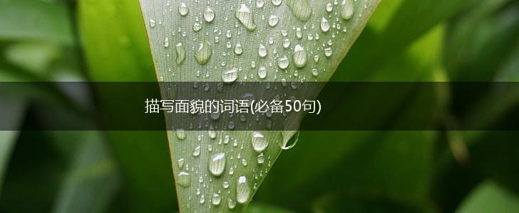 描写面貌的词语(必备50句),第1张