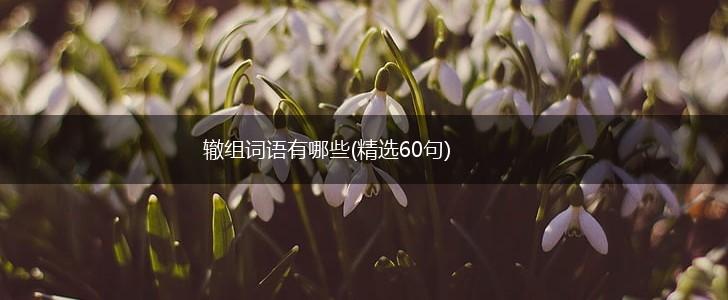 辙组词语有哪些(精选60句),第1张