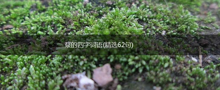 泵的四字词语(精选62句),第1张
