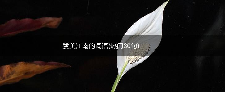 赞美江南的词语(热门80句),第1张