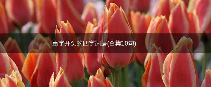 重字开头的四字词语(合集10句),第1张