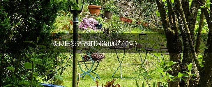 类似白发苍苍的词语(优选40句),第1张