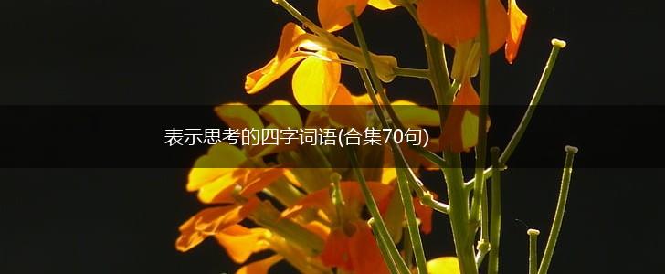 表示思考的四字词语(合集70句),第1张