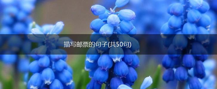 描写邮票的句子(共50句),第1张
