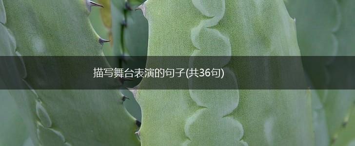 描写舞台表演的句子(共36句),第1张