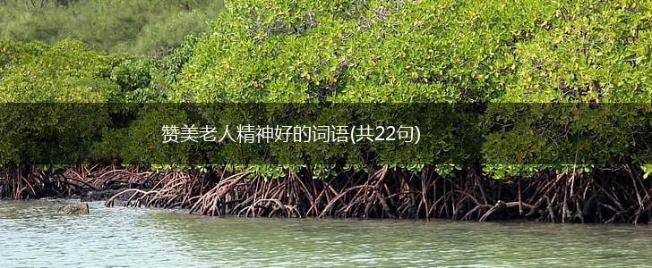 赞美老人精神好的词语(共22句),第1张