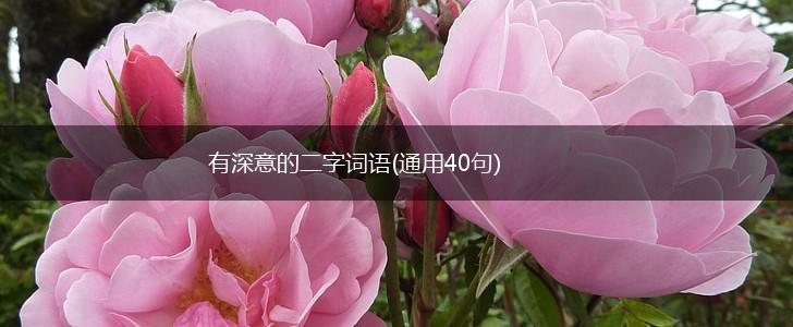 有深意的二字词语(通用40句),第1张