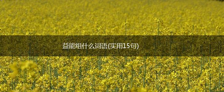 益能组什么词语(实用15句),第1张