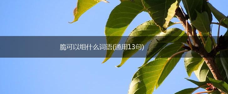 脆可以组什么词语(通用13句),第1张