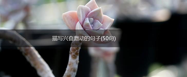 描写兴奋激动的句子(50句),第1张