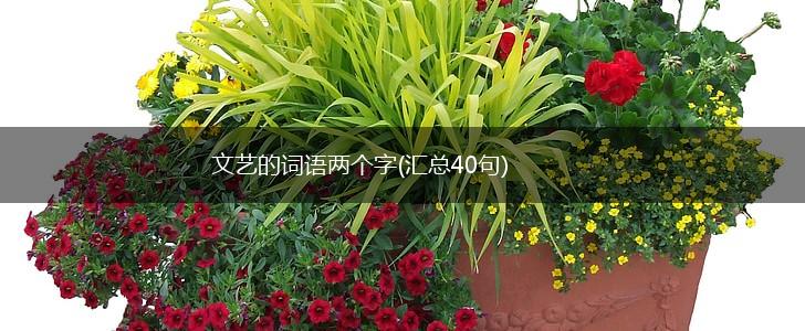 文艺的词语两个字(汇总40句),第1张