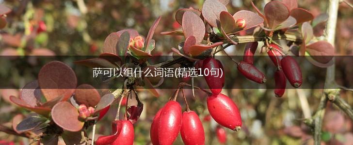 萨可以组什么词语(精选10句),第1张
