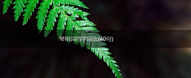 琴组词四字词语(40句),第1张