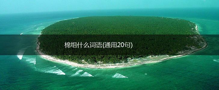 棉组什么词语(通用20句),第1张