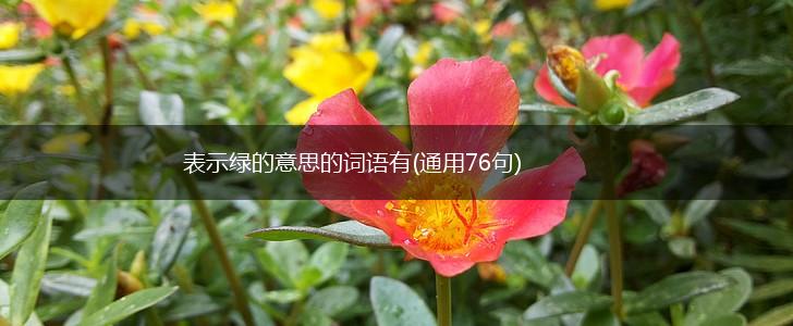 表示绿的意思的词语有(通用76句),第1张