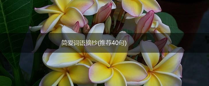 简爱词语摘抄(推荐40句),第1张