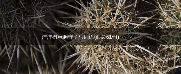 洋洋得意照样子写词语(汇总61句),第1张