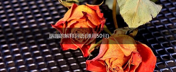 蹒跚的解释词语(通用50句),第1张