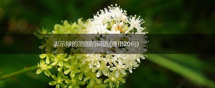 表示绿的范围的词语(通用20句),第1张
