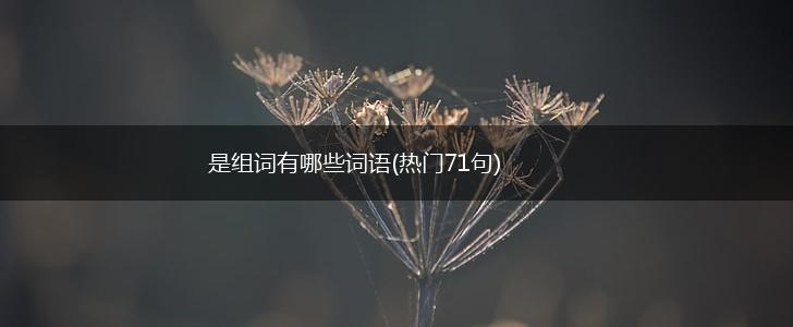 是组词有哪些词语(热门71句),第1张