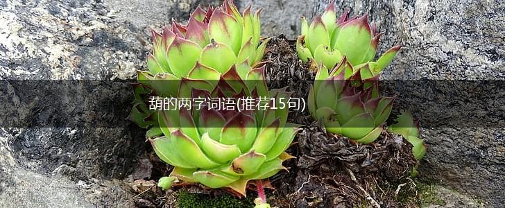 葫的两字词语(推荐15句),第1张