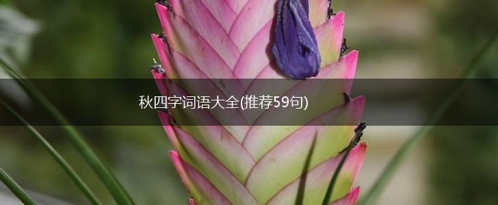 秋四字词语大全(推荐59句),第1张