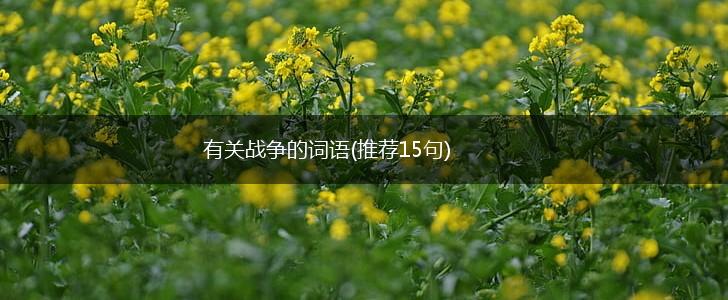有关战争的词语(推荐15句),第1张