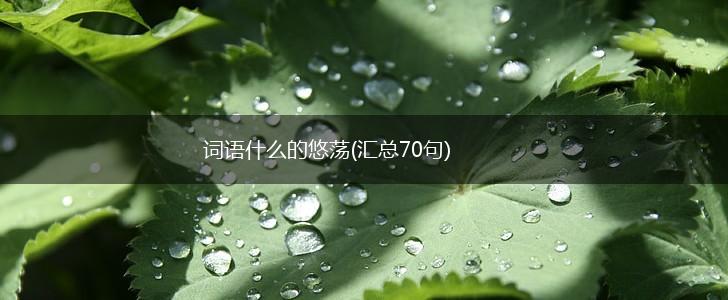 词语什么的悠荡(汇总70句),第1张
