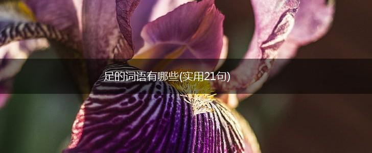 足的词语有哪些(实用21句),第1张