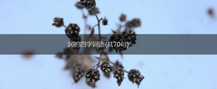 润的四字词语(共70句),第1张