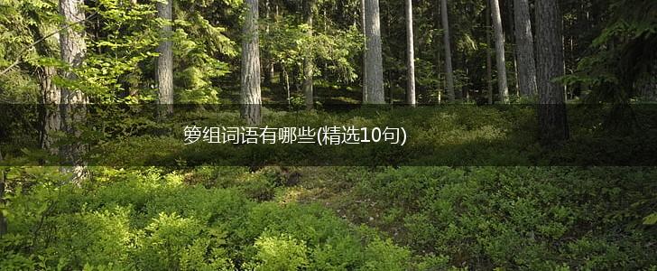 箩组词语有哪些(精选10句),第1张