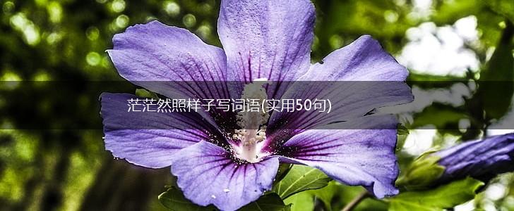 茫茫然照样子写词语(实用50句),第1张