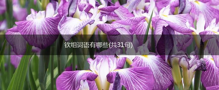 钦组词语有哪些(共31句),第1张