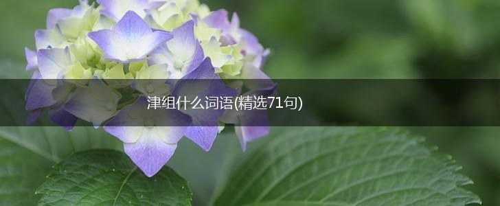 津组什么词语(精选71句),第1张