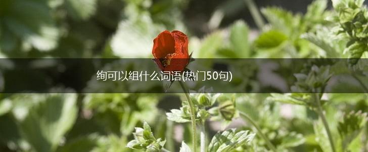 绚可以组什么词语(热门50句),第1张