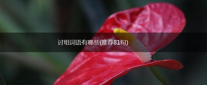讨组词语有哪些(推荐81句),第1张