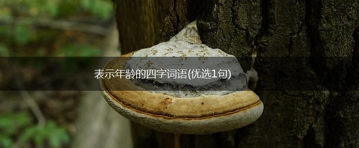 表示年龄的四字词语(优选1句),第1张