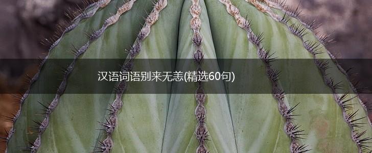 汉语词语别来无恙(精选60句),第1张