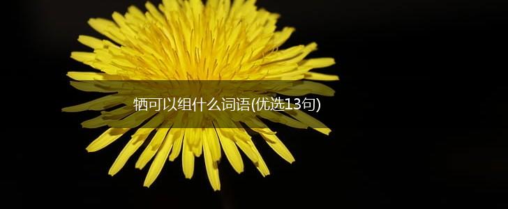 牺可以组什么词语(优选13句),第1张
