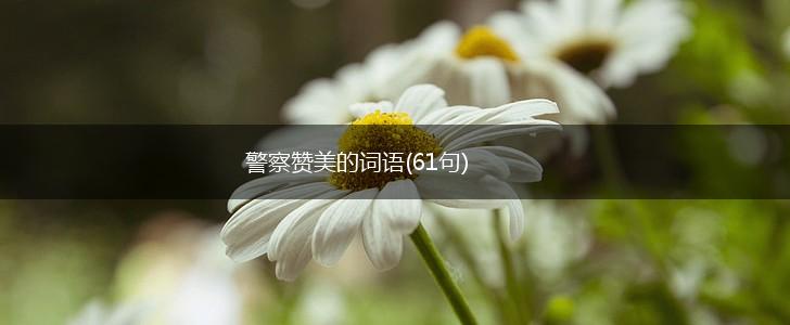 警察赞美的词语(61句),第1张