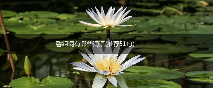 馨组词有哪些词语(推荐51句),第1张
