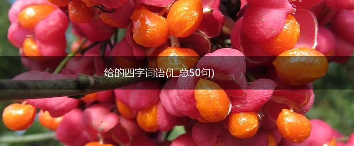 给的四字词语(汇总50句),第1张
