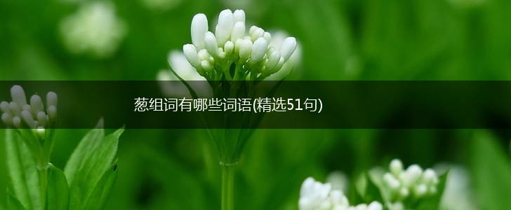 葱组词有哪些词语(精选51句),第1张
