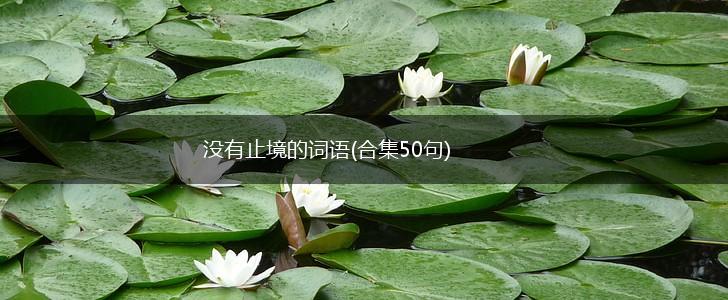 没有止境的词语(合集50句),第1张