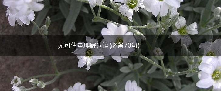 无可估量理解词语(必备70句),第1张
