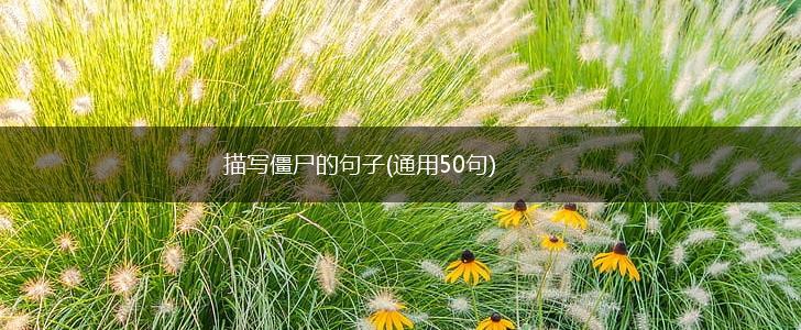 描写僵尸的句子(通用50句),第1张