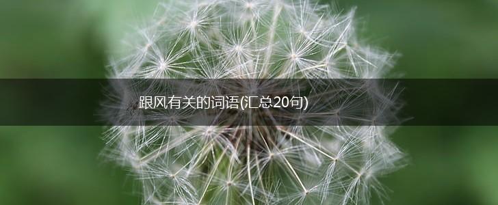 跟风有关的词语(汇总20句),第1张