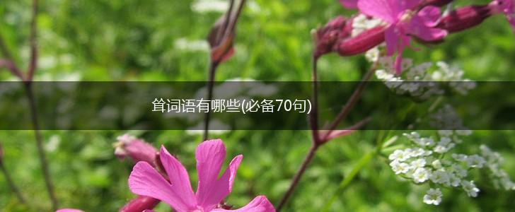 耸词语有哪些(必备70句),第1张